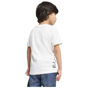 Imagen del producto con referencia 627376-02