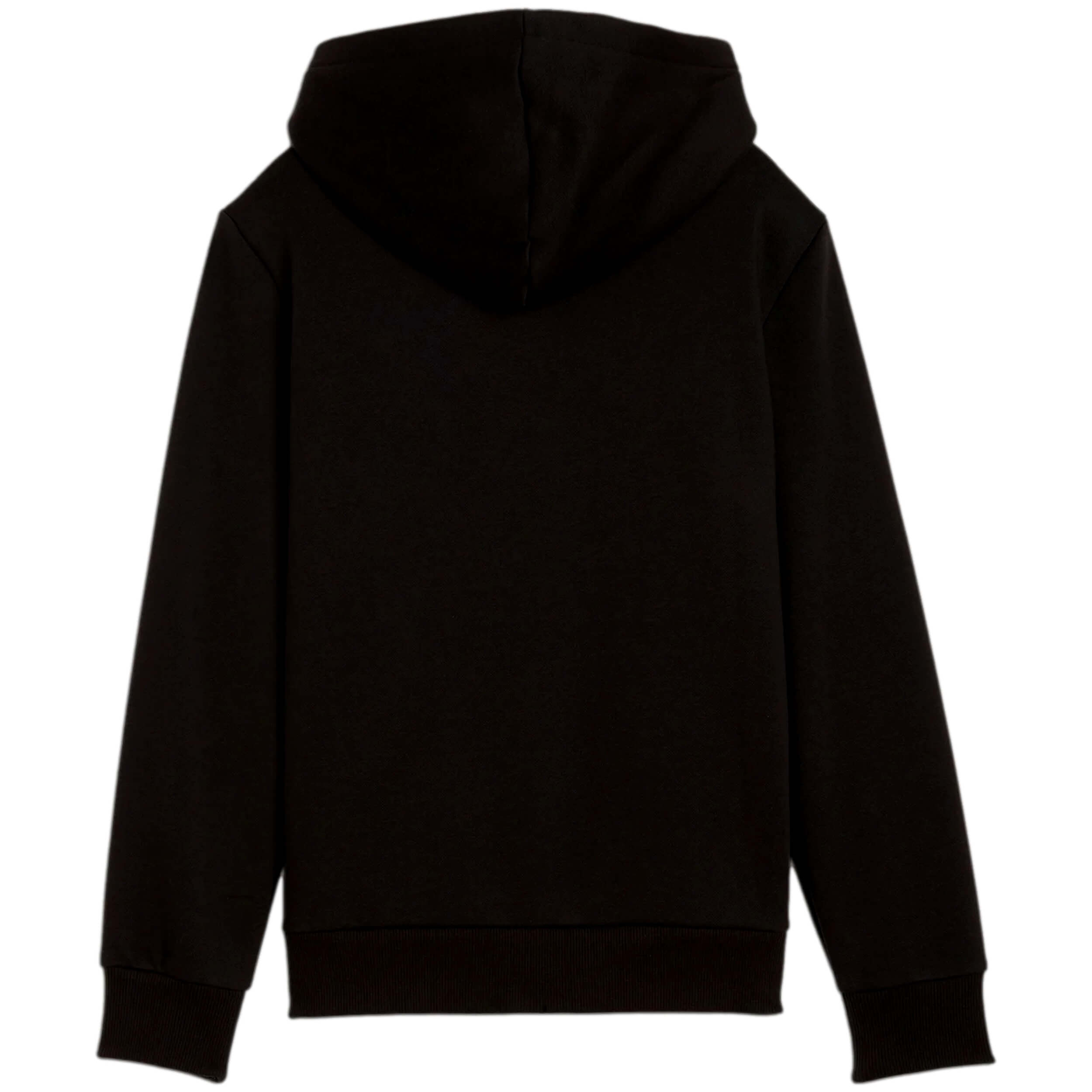 Sudadera Con Capucha Puma Basketball Winning