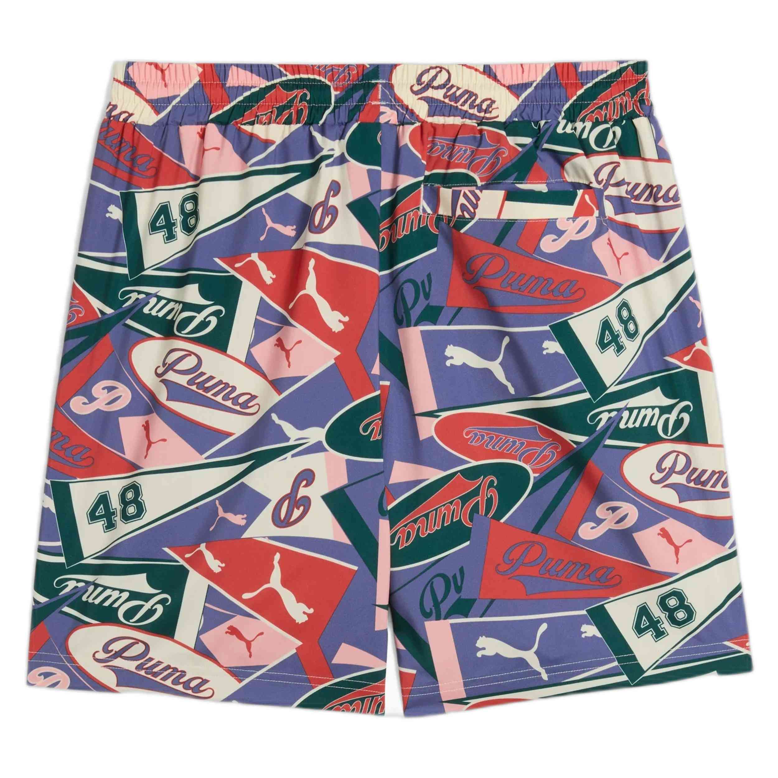 Pantalon Corto Puma Legacy Graphic