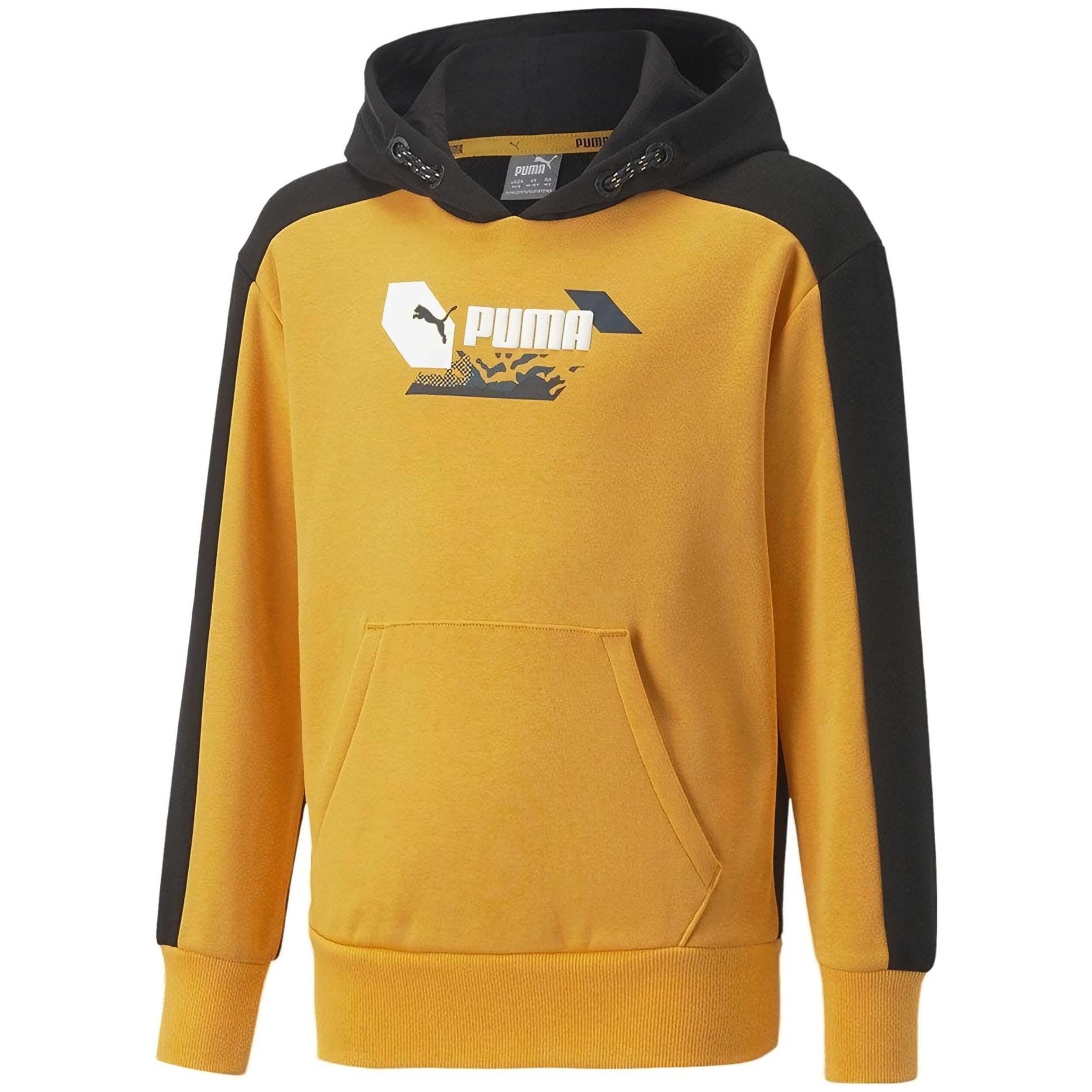 Sudadera Con Capucha Puma Alpha