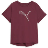 Camiseta De Manga Corta Puma Evostripe