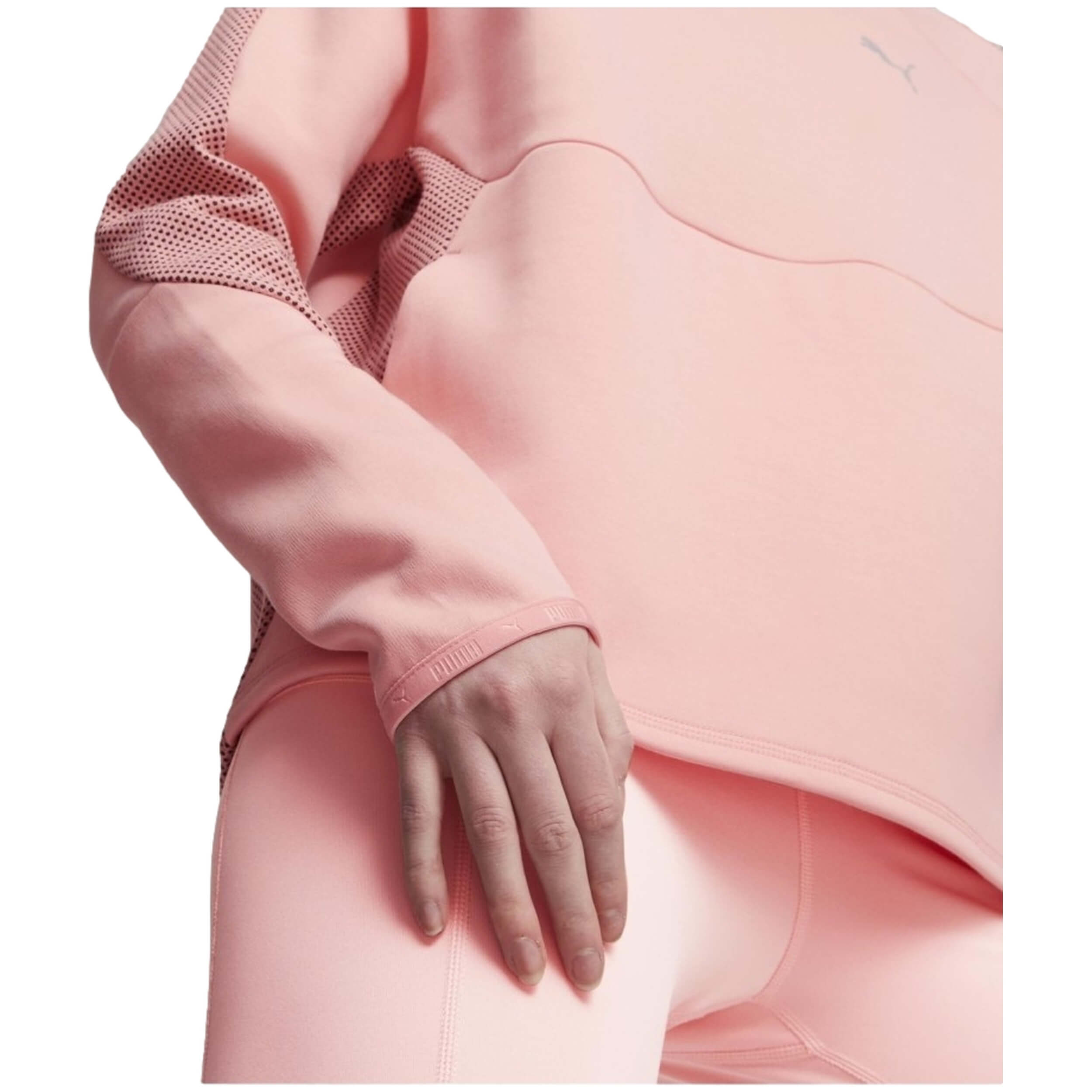 Sudadera Con Capucha Puma Evostripe