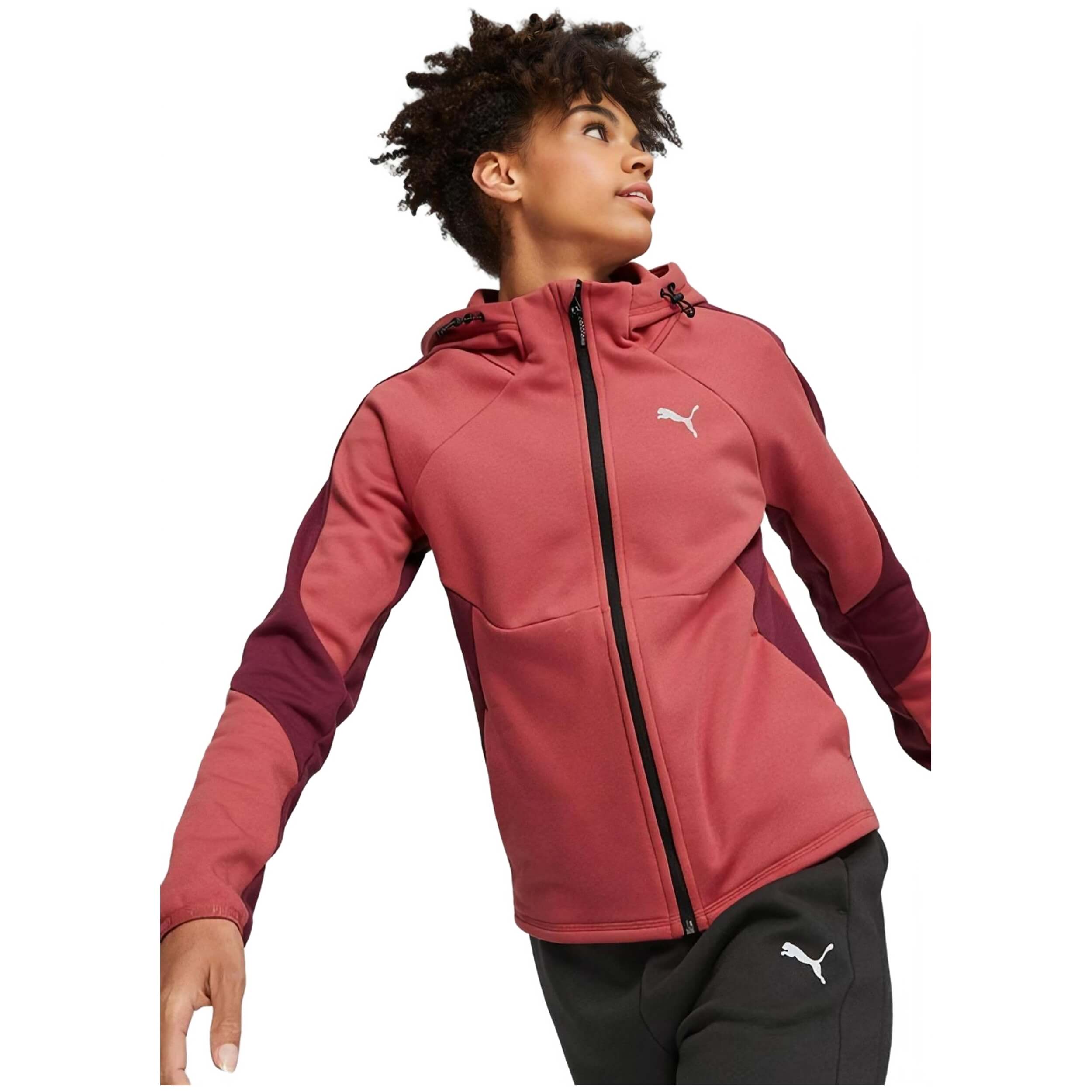 Chaqueta Puma Evostripe Winterized