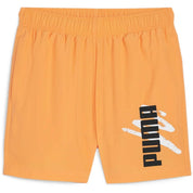 Puma Ess Logo Lab Shorts