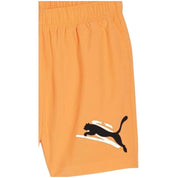 Pantalon Corto Puma Ess+ Logo Lab Cat