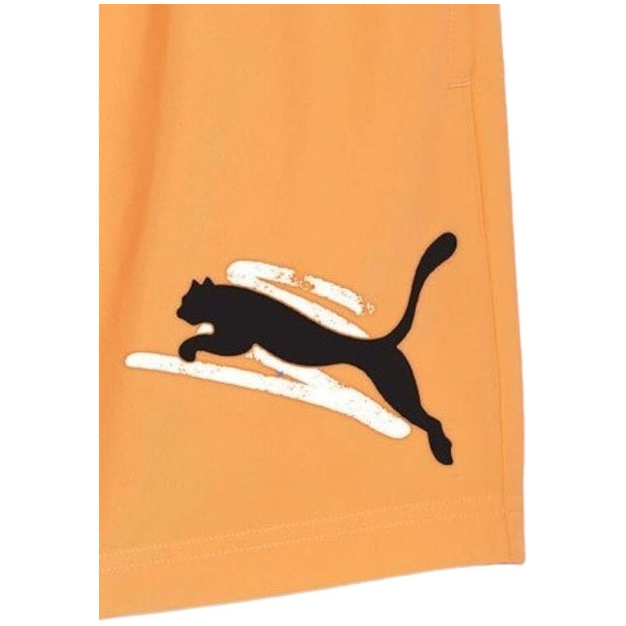 Pantalon Corto Puma Ess+ Logo Lab Cat