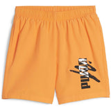 Puma Ess+ Logo Lab 5 Shorts