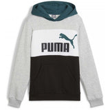 Sudadera Con Capucha Puma Ess Block