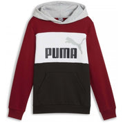 Sudadera Con Capucha Puma Essentials Block