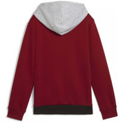 Sudadera Con Capucha Puma Essentials Block