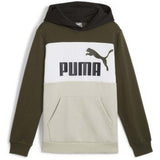 Sudadera Con Capucha Puma Ess Block
