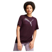 Camiseta De Manga Corta Puma Evostripe