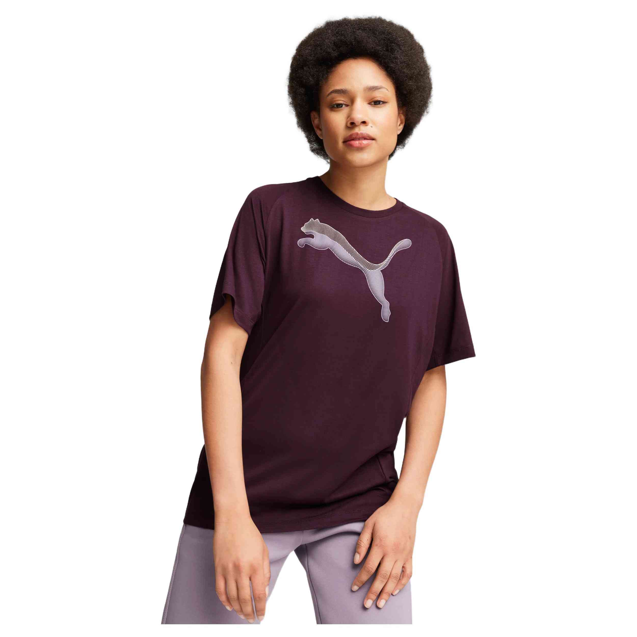 Camiseta De Manga Corta Puma Evostripe