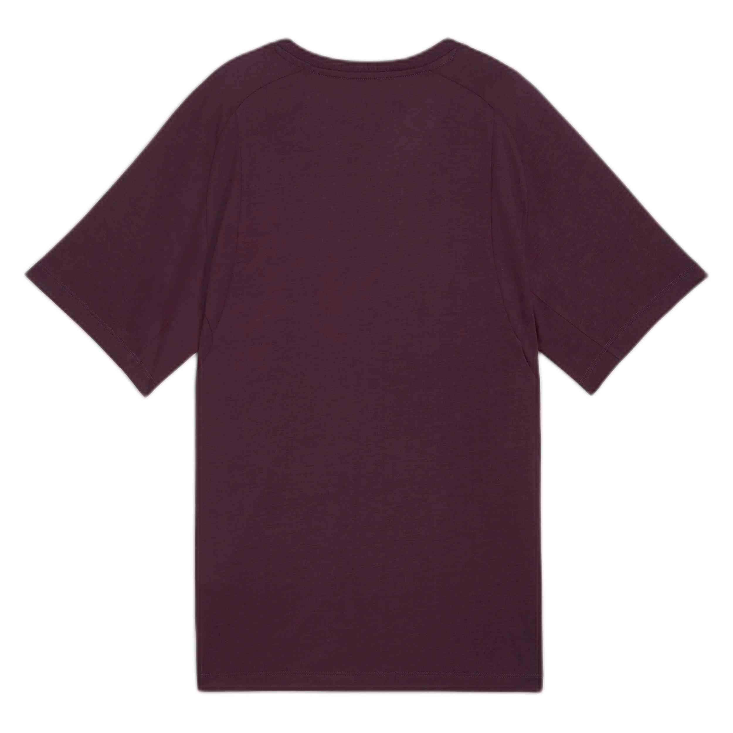 Camiseta De Manga Corta Puma Evostripe