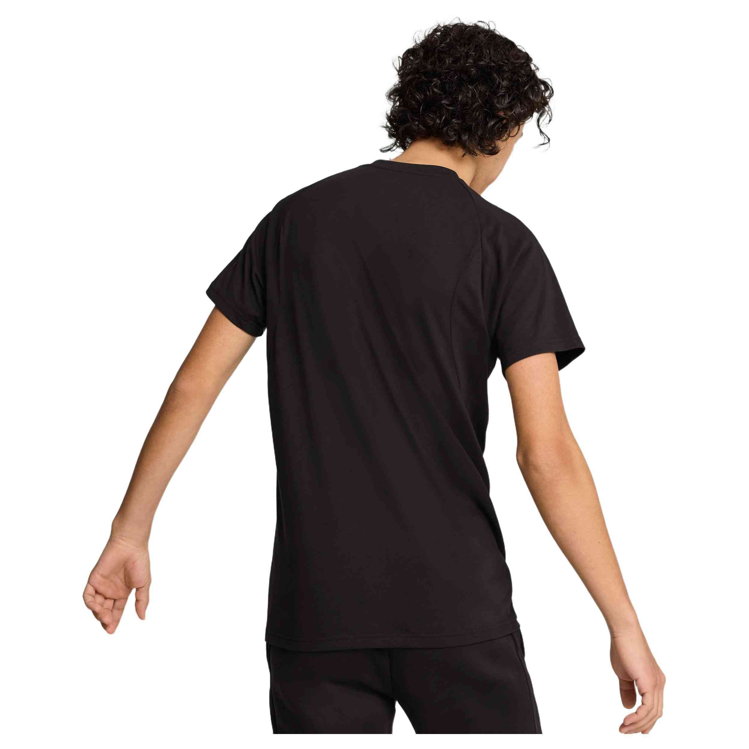 Camiseta De Manga Corta Puma Evostripe