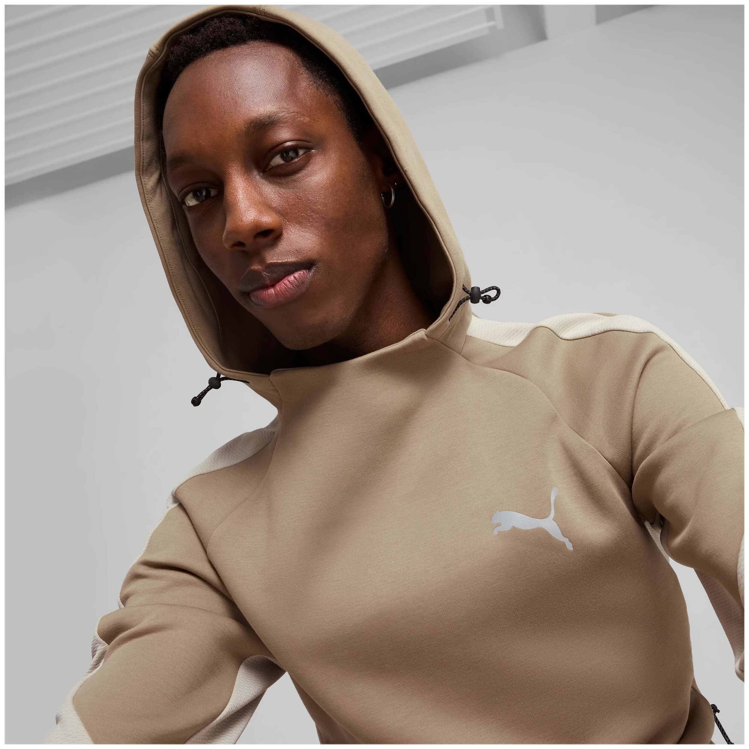 Sudadera Con Capucha Puma Evostripe Dk