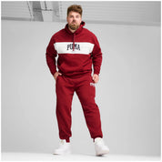Sudadera Con Capucha Puma Squad