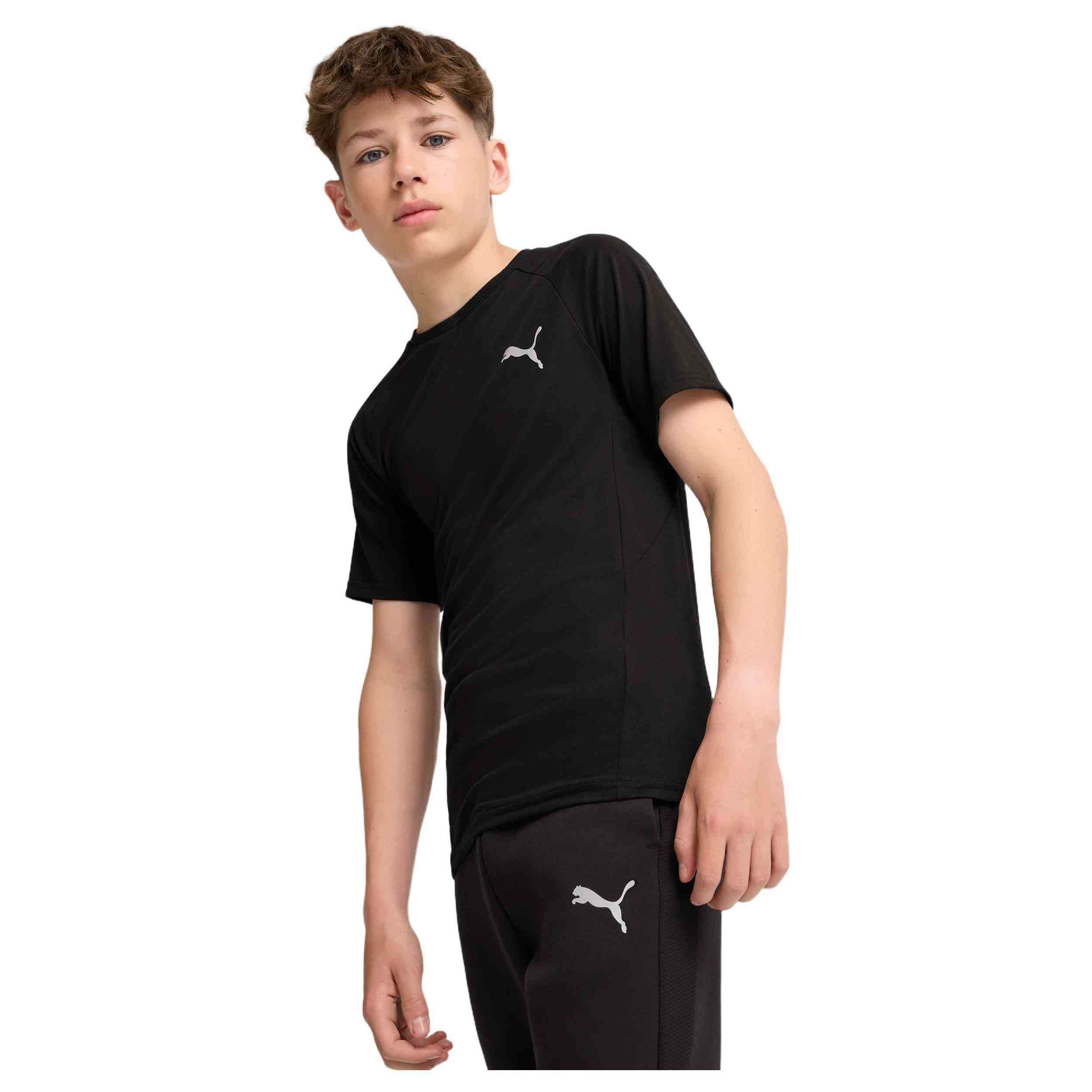 Camiseta De Manga Corta Puma Evostripe