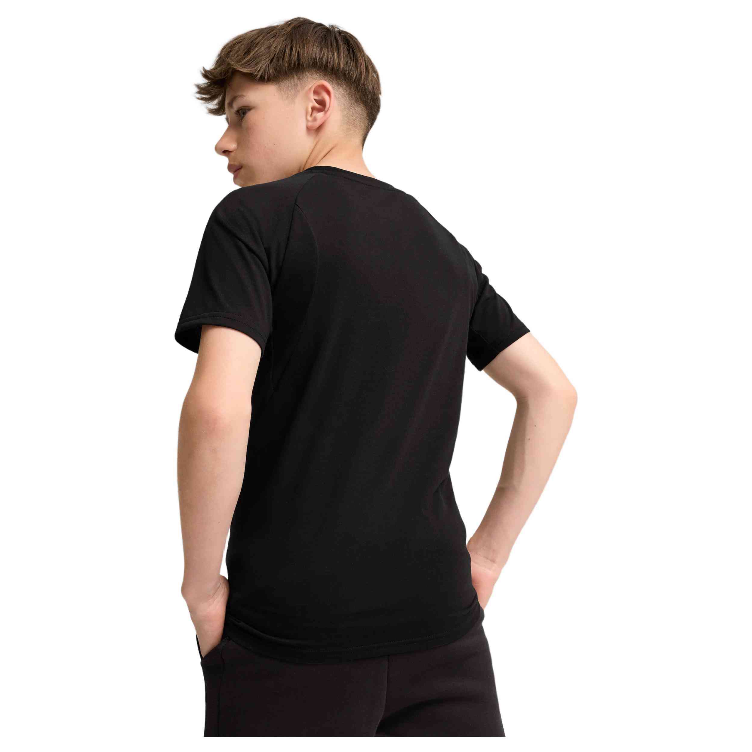 Camiseta De Manga Corta Puma Evostripe