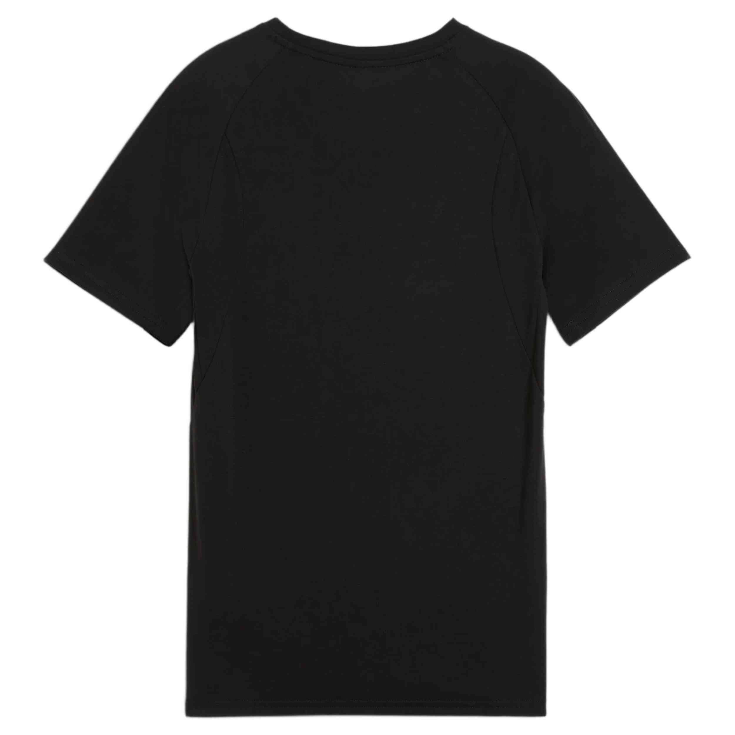 Camiseta De Manga Corta Puma Evostripe