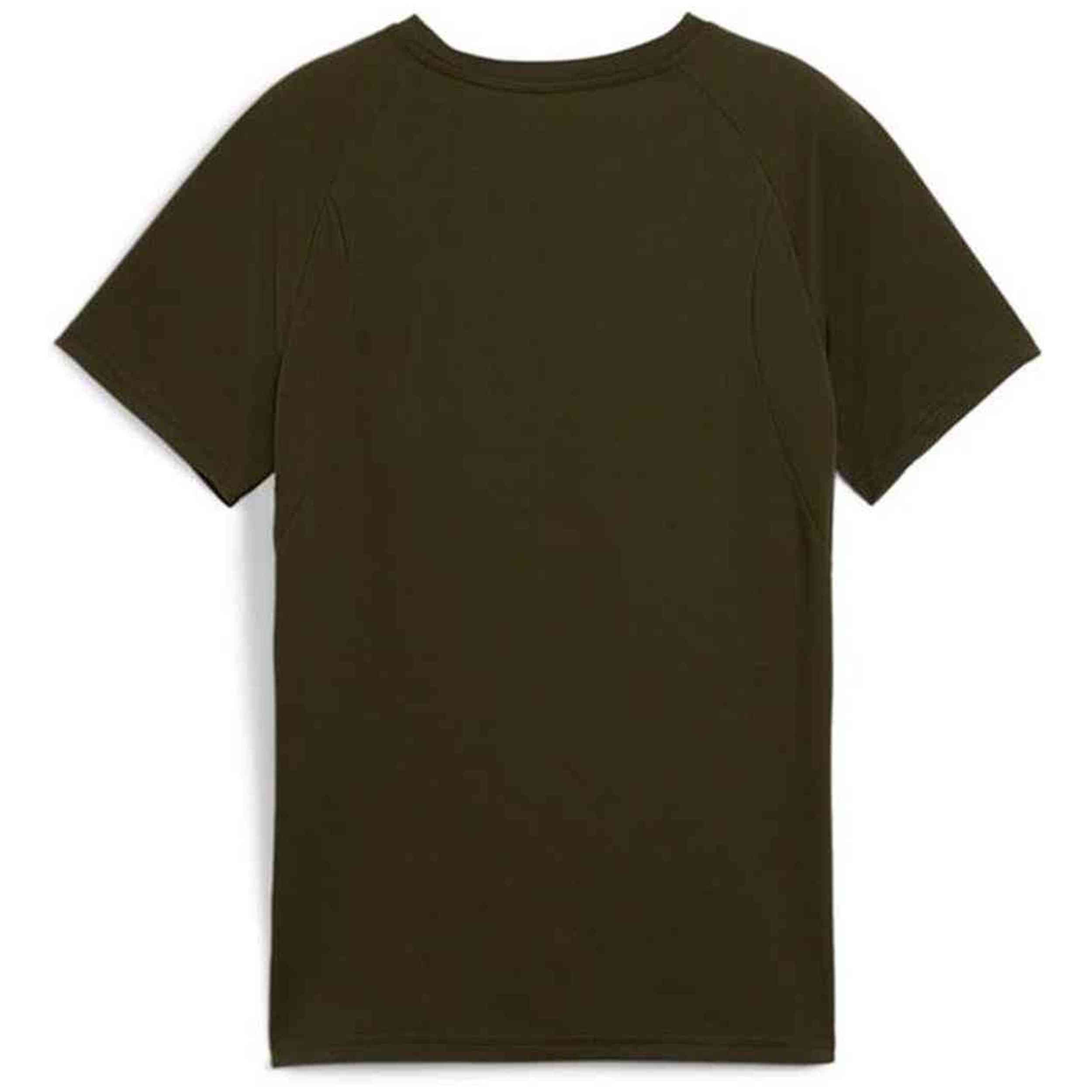 Camiseta De Manga Corta Puma Evostripe