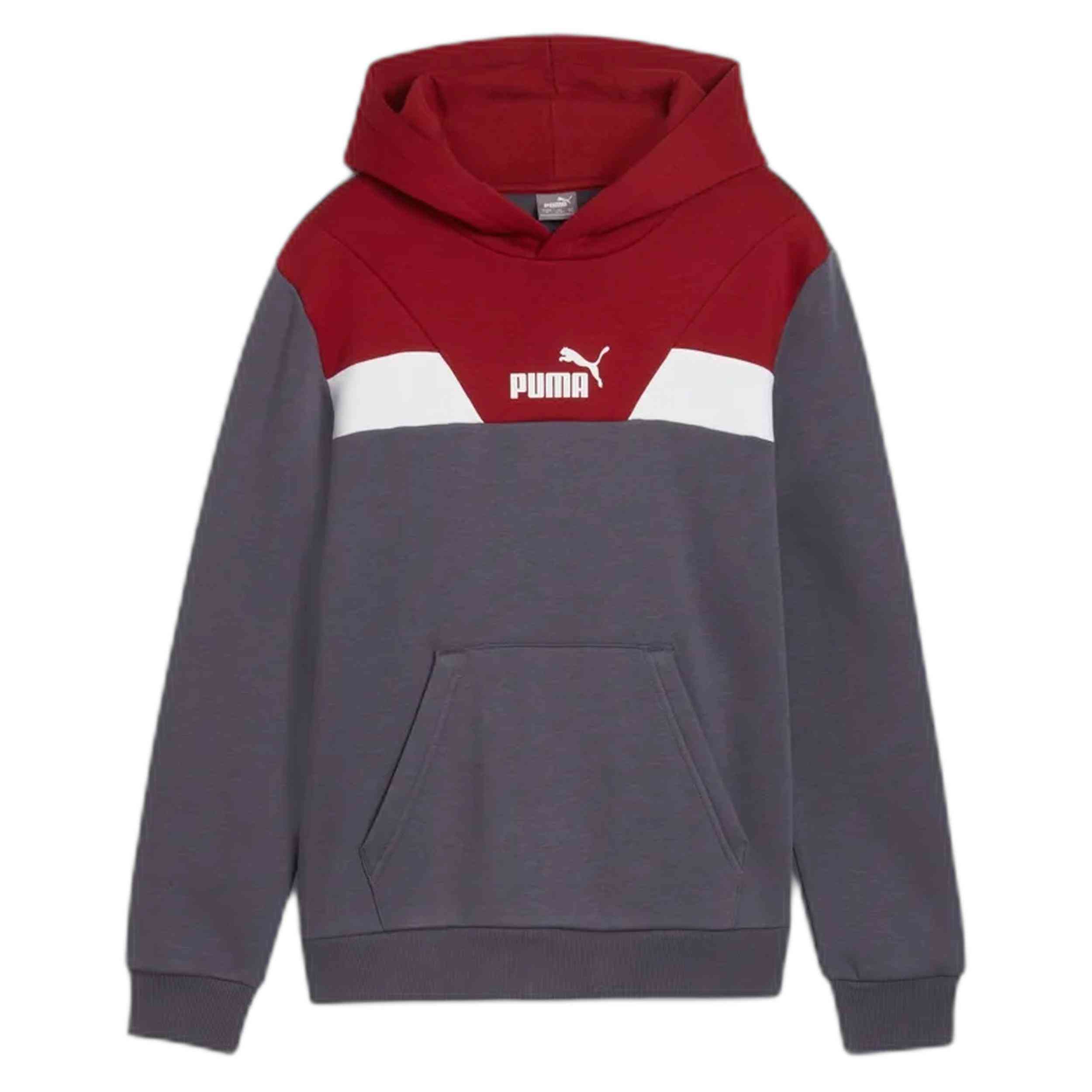 Sudadera Con Capucha Puma Power Colorbloc