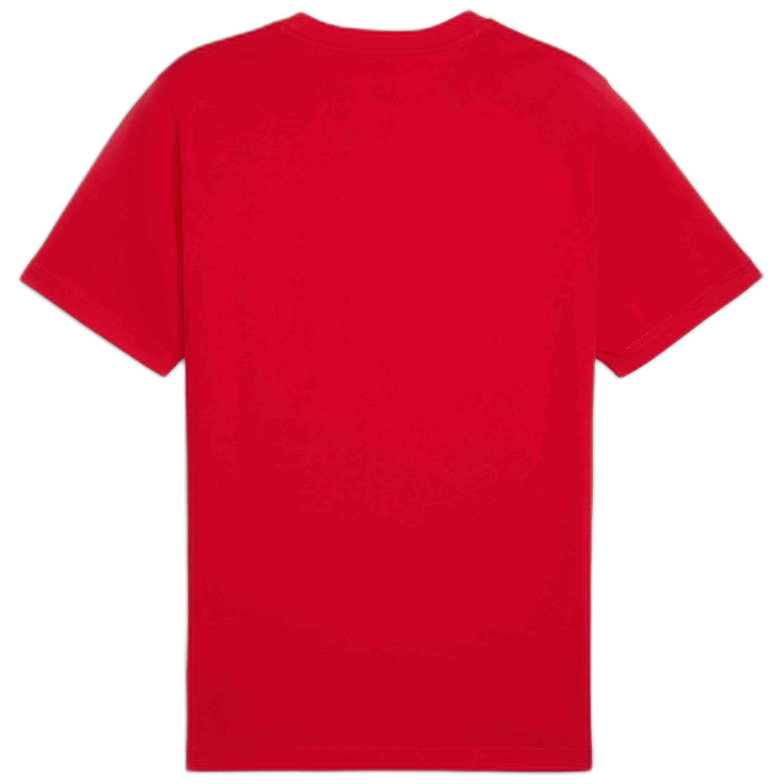 Camiseta De Manga Corta Puma 682532-11