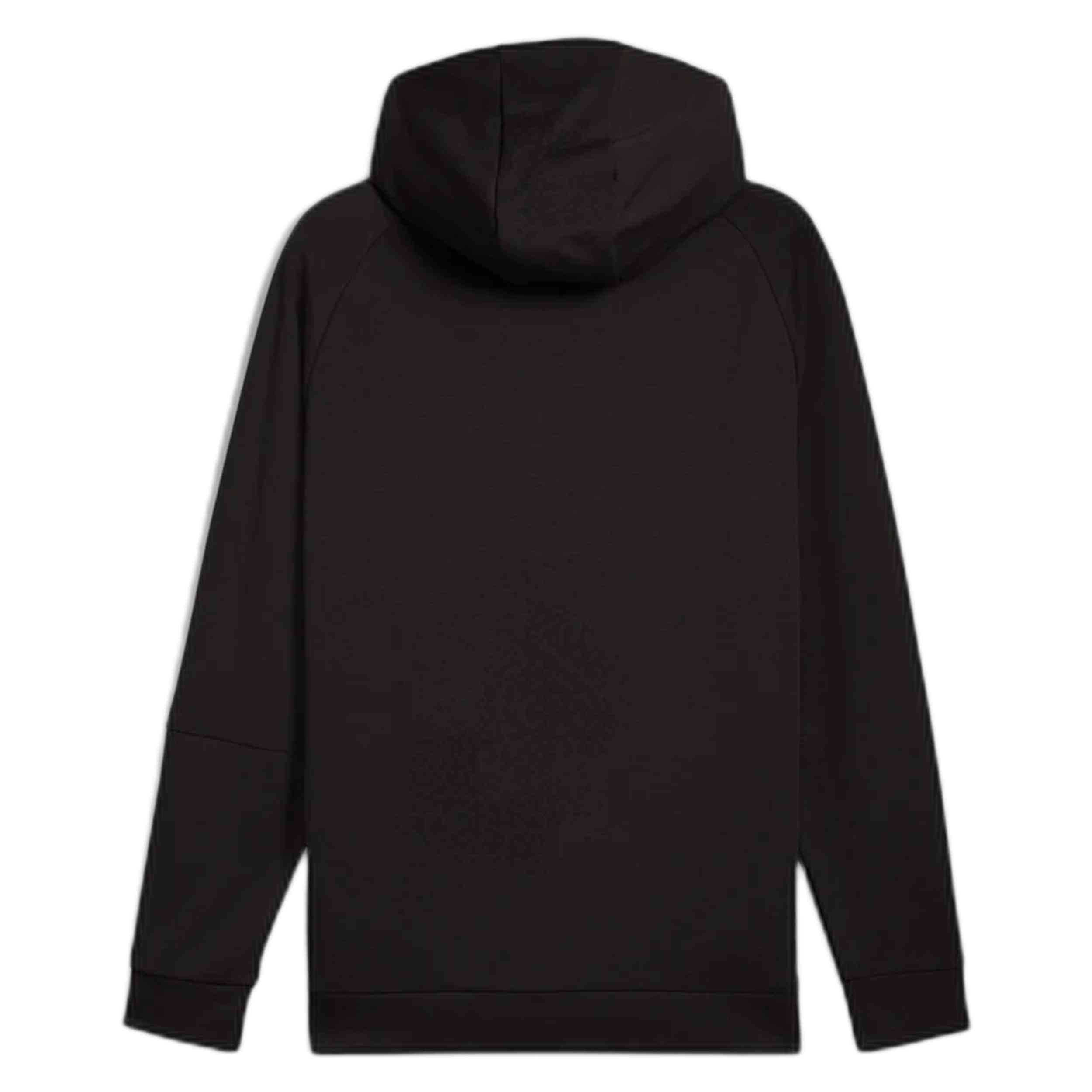 Sudadera Con Capucha Puma Pumatech Dk