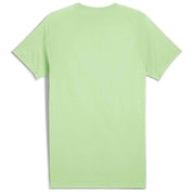 Camiseta De Manga Corta Puma Evostripe