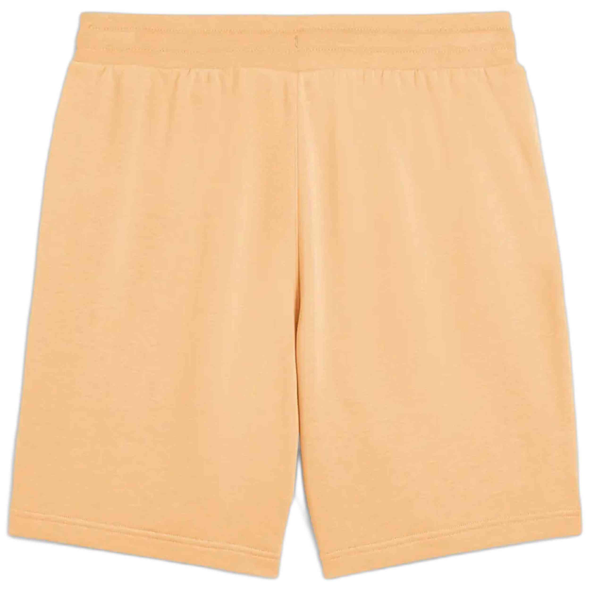 Pantalon Corto Puma 684653-41