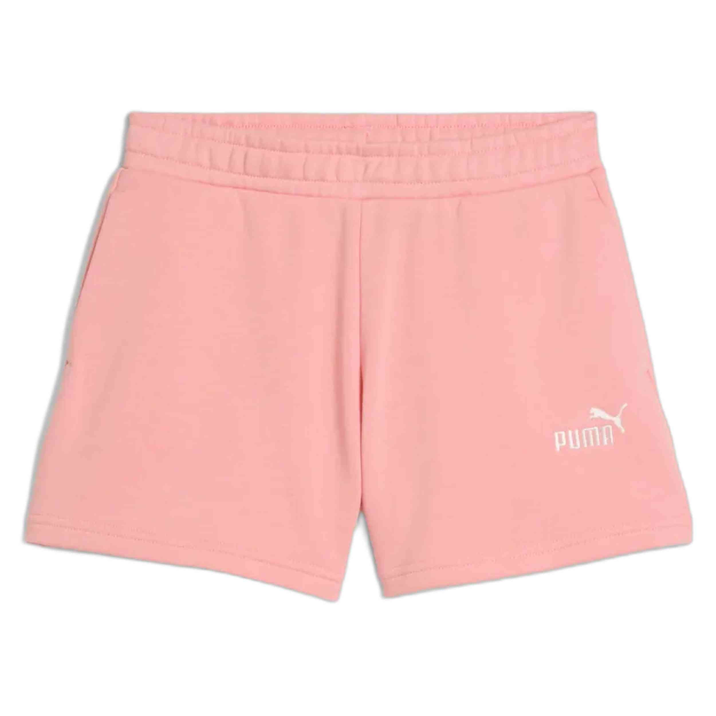 Pantalon Corto Puma 684905-18