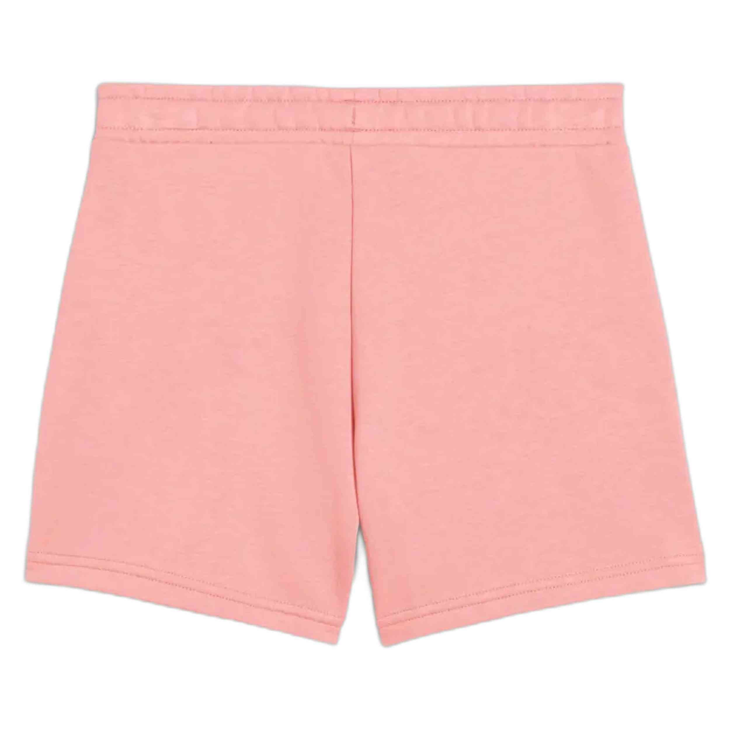 Pantalon Corto Puma 684905-18
