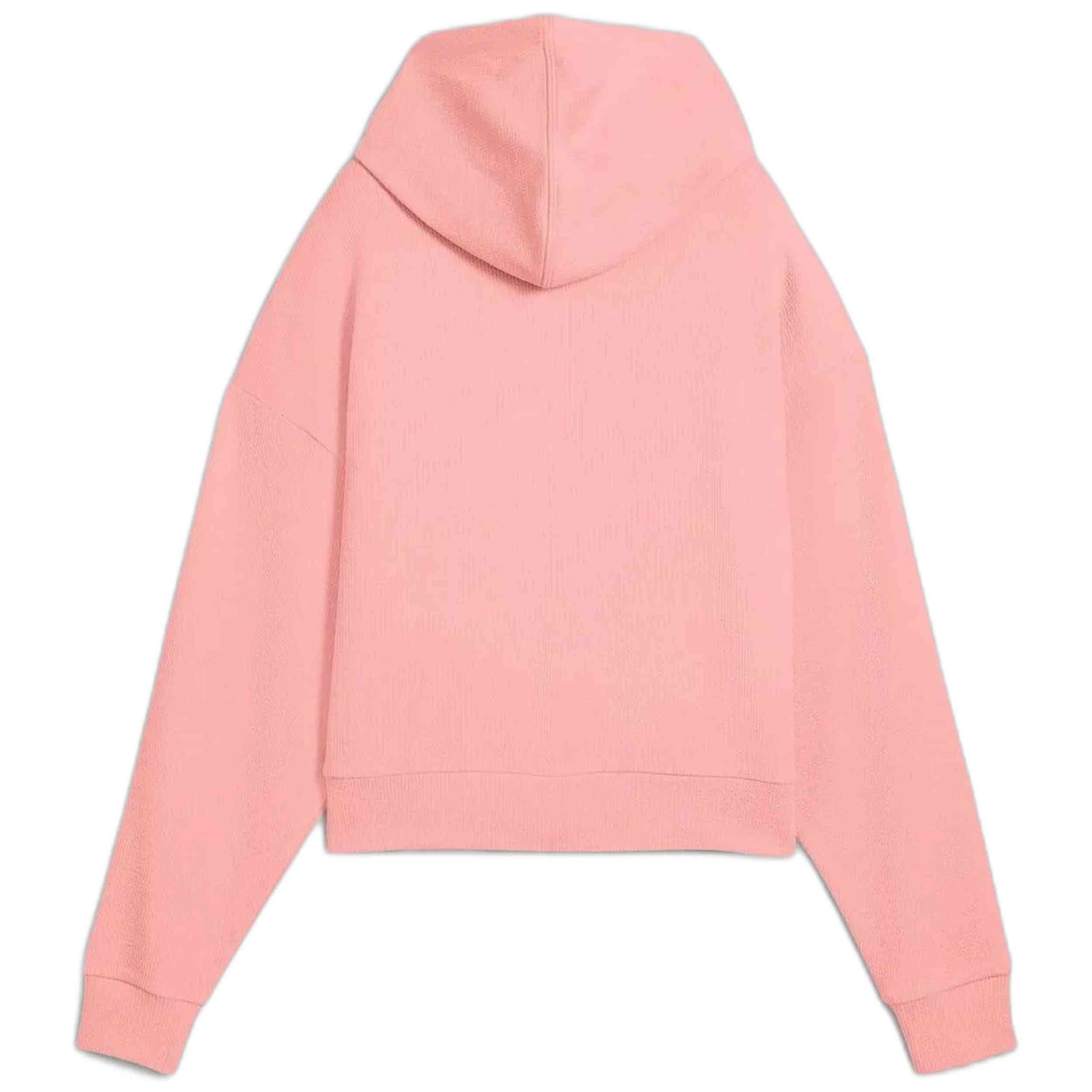 Sudadera Con Capucha Puma 685056-18