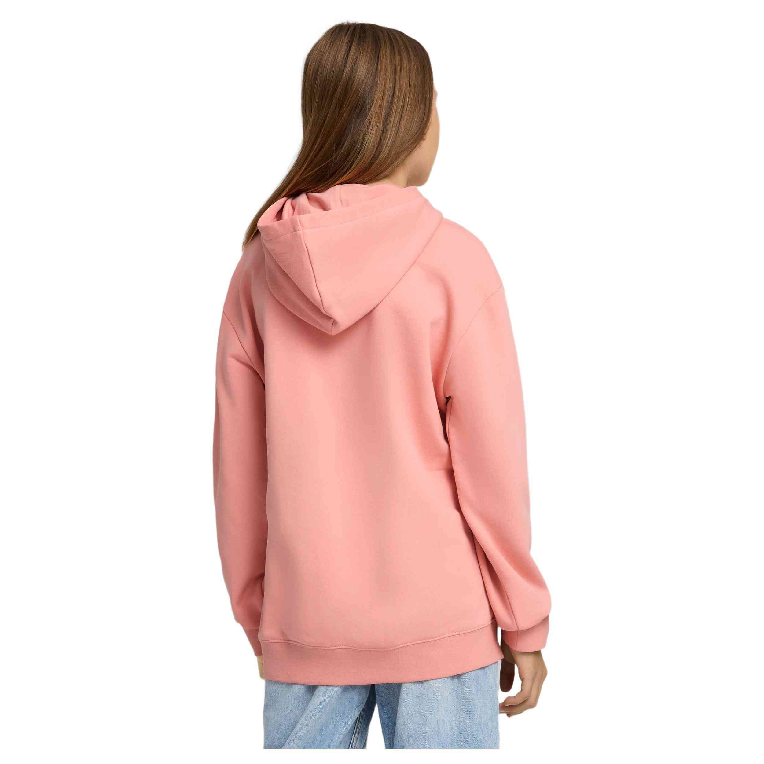 Sudadera Con Capucha Puma Flaming Love