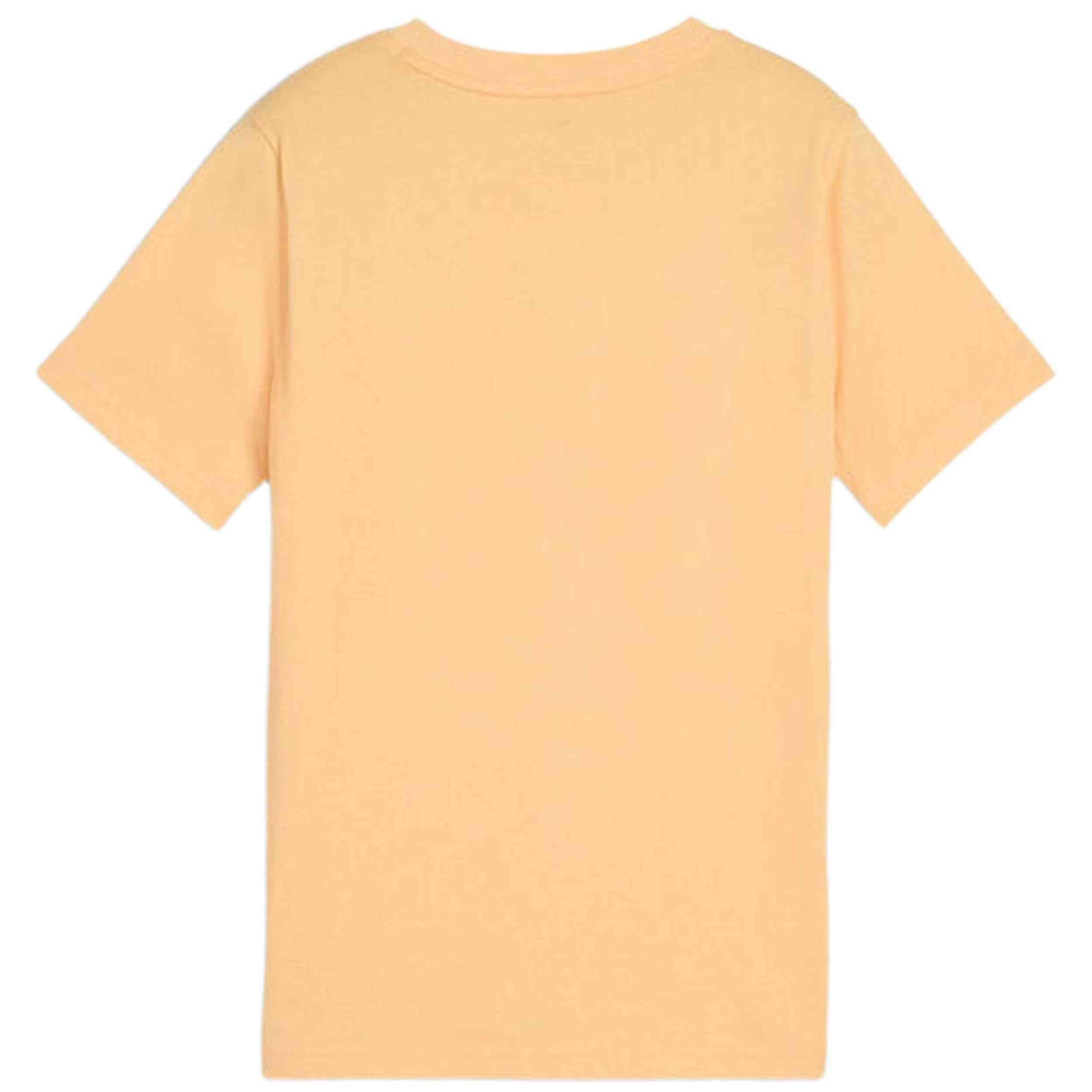 Camiseta De Manga Corta Puma 685795-41
