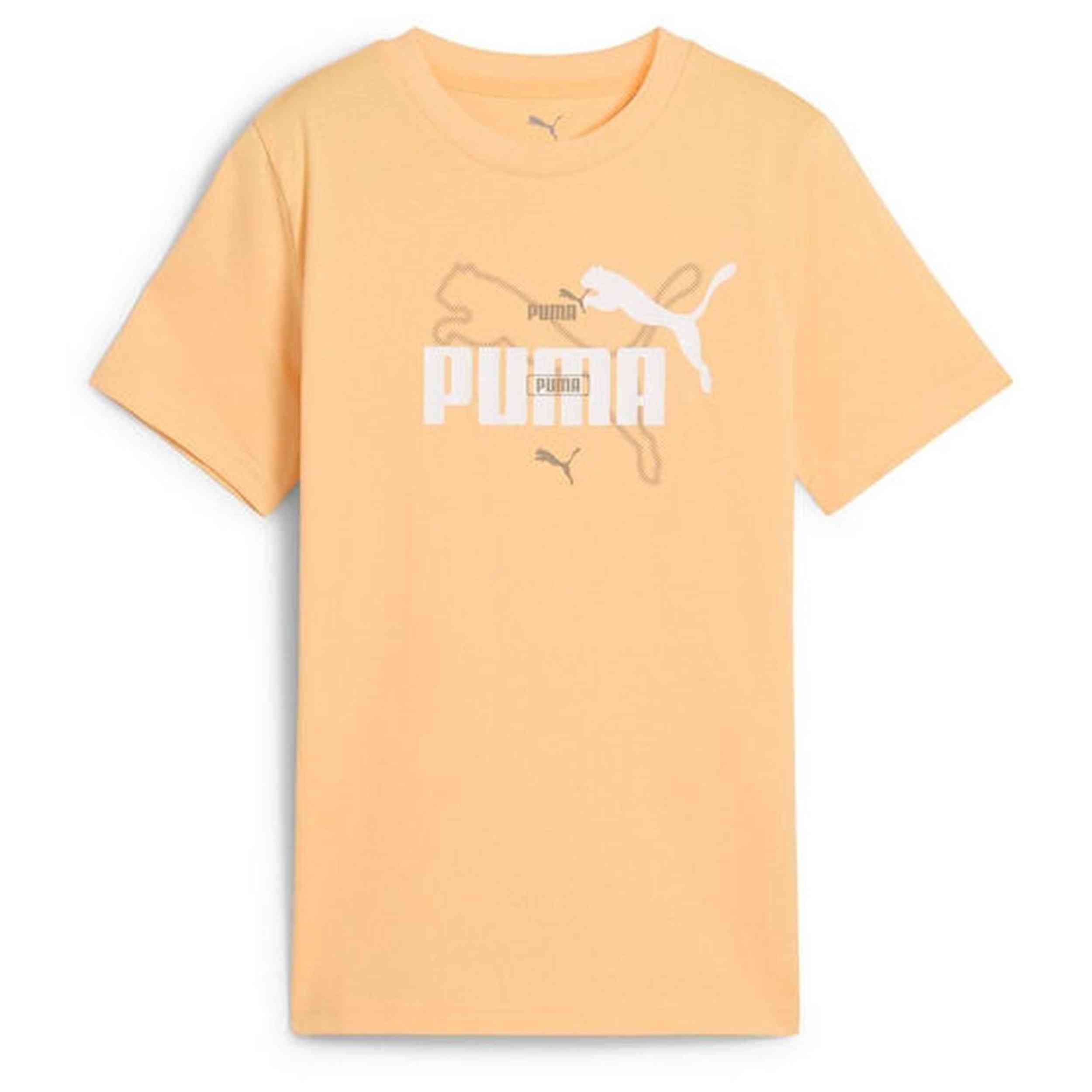 Camiseta De Manga Corta Puma 685795-41