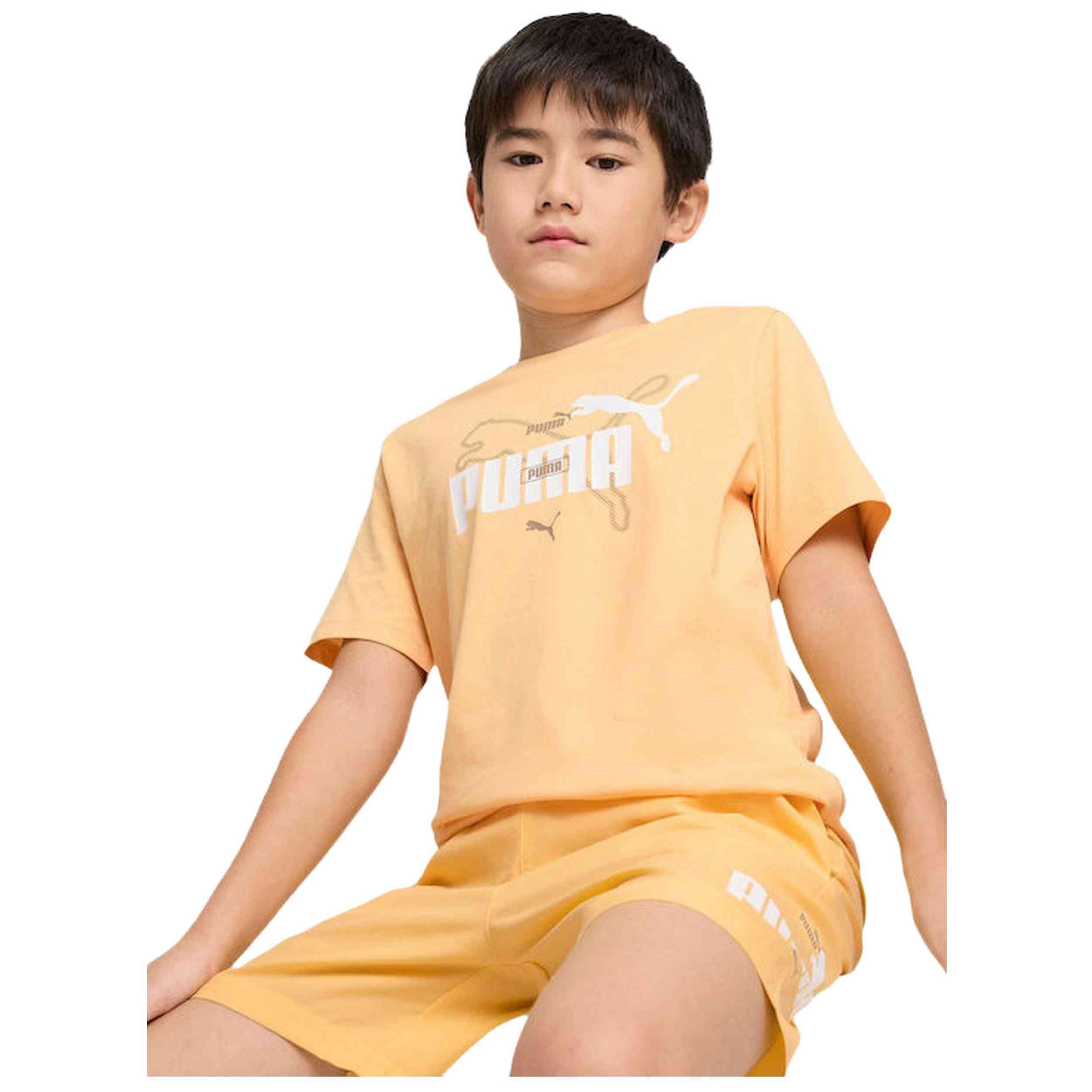 Camiseta De Manga Corta Puma 685795-41