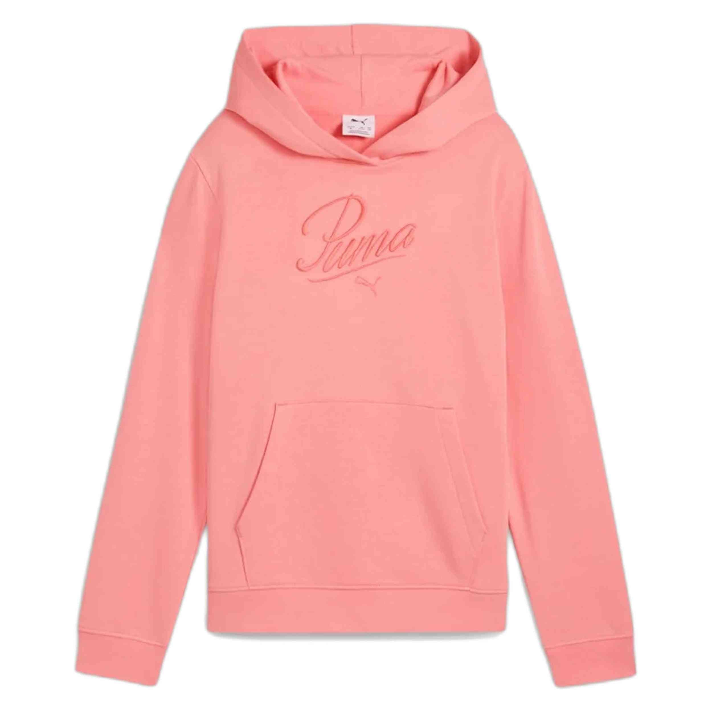 Sudadera Con Capucha Puma Essentials Script