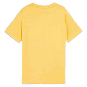 Camiseta De Manga Corta Puma Class Graphic