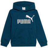 Sudadera Con Capucha Puma