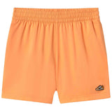 Pantalon Corto Puma Sneaker