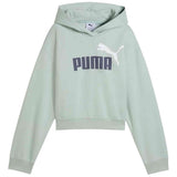Sudadera Con Capucha Puma Essentials No.1 Logo "Créme De Mint"