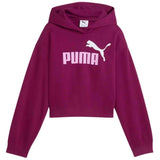 Sudadera Con Capucha Puma Essentials No.1 Logo "Fuchsia Glow"