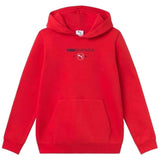 Sudadera Con Capucha Puma Puma Class Graphic