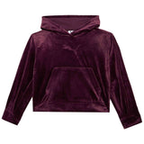Sudadera Con Capucha Puma Essentials Elevated "Ruby Noir"