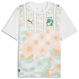 Camiseta De Futbol Puma Costa De Marfil 2.ª Equipación 2026
