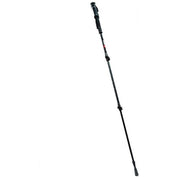 Eastlock Hiking Pole +8000