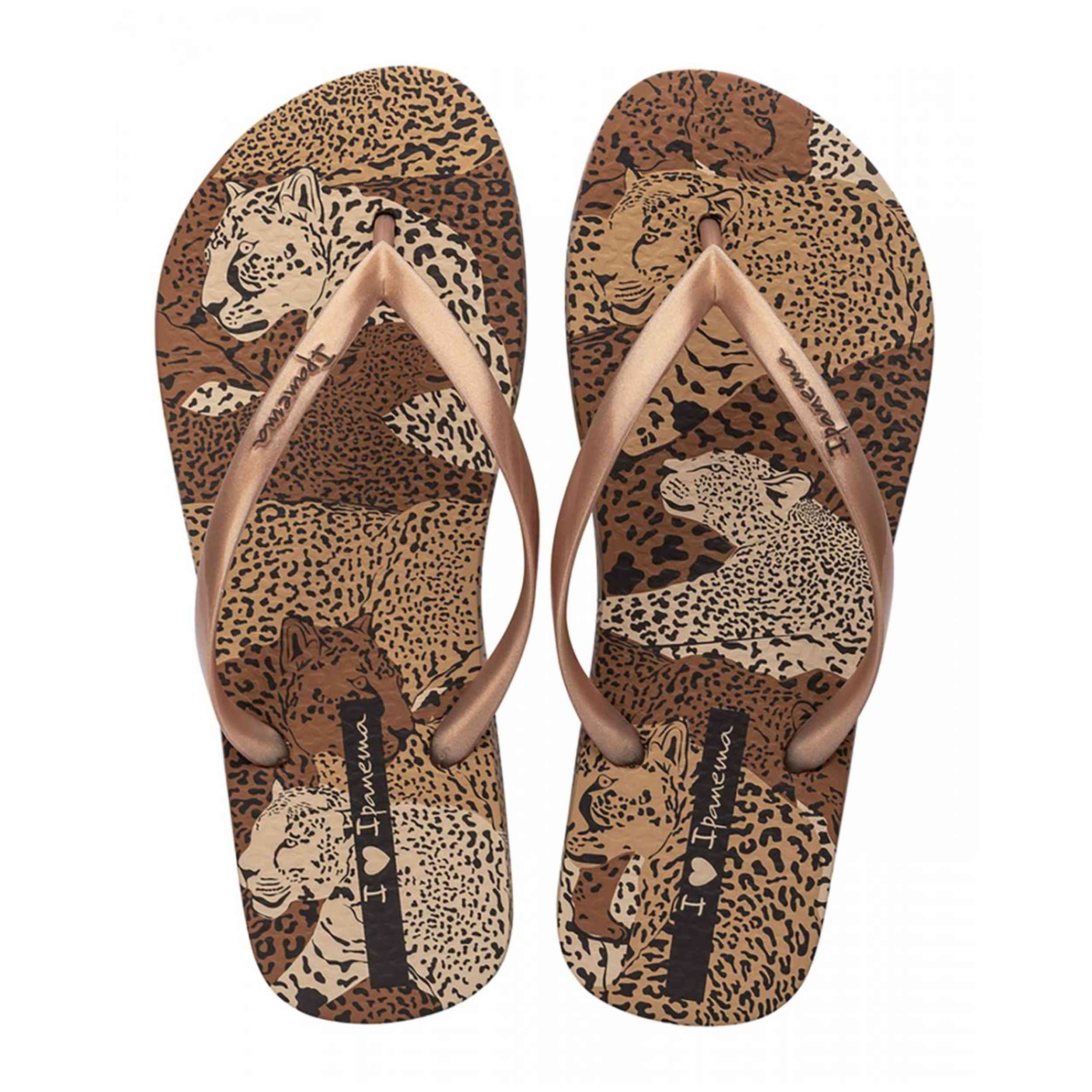 Chanclas Ipanema 83617-Ay384
