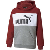 Sudadera Puma