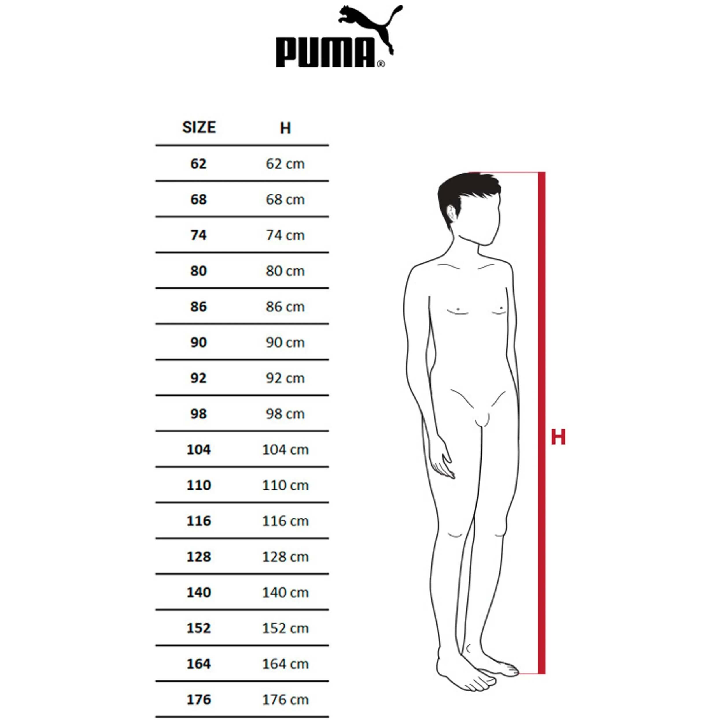 Puma Logo Set